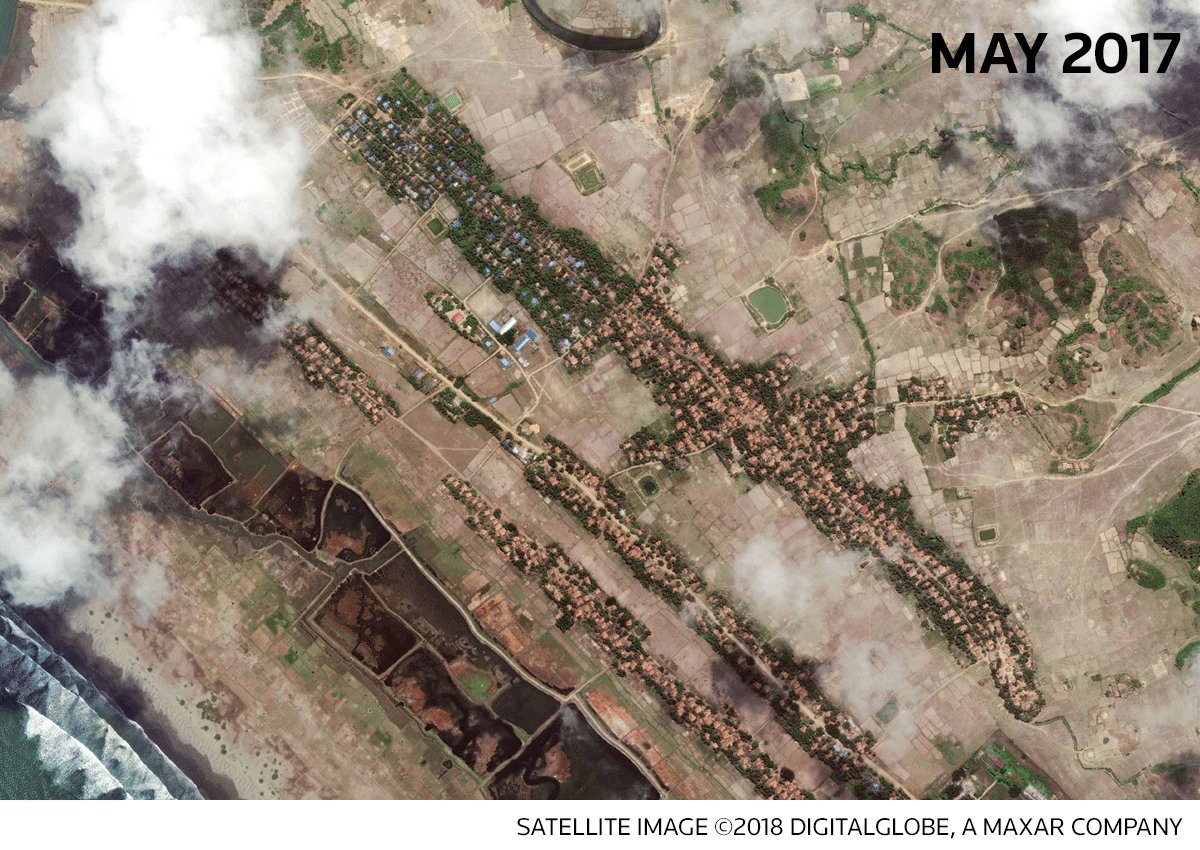 Satellite images show that hundreds of new houses are being built on land where Myanmar's Rohingya once lived and farmed, before their homes were burned and bulldozed. @Reuters investigates: (Image: @DigitalGlobe)   