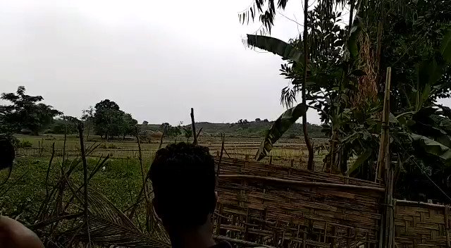 Military shooting 06 March,2019 around 8:40 am in the East side of Tha Yet Pyin Rohingya village, Buthidaung, Rakhine state Myanmar   