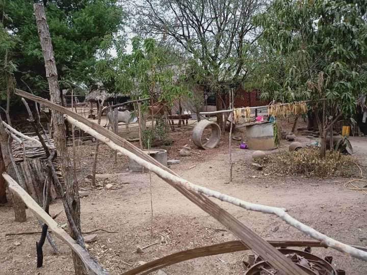 Tha Pyay Aye village in Yin Mar Bin Tsp, Sagaing Region deserted.   All villagers fled as Myanmar security forces raided the village to abduct a presiding monk at a monastery.  