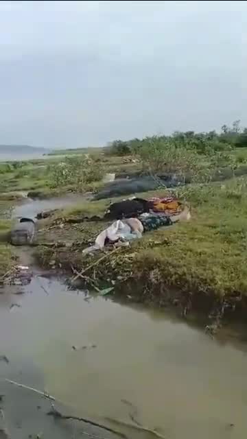 En el municipio de Maungdaw del estado de Rakhine, el Ejército de Arakan (AA) ha estado atacando a civiles rohingya con drones y artillería. Ayer (5 de agosto), en un solo día, al menos 200 civiles rohingya, entre ellos mujeres, niños y ancianos, murieron y muchos resultaron heridos. Hay innumerables cuerpos