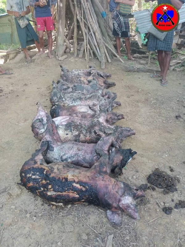 Canton de Baguio Tumteng, 21 maisons du village L'officier d'information du bataillon 3601 PPDF a déclaré à Yangon Modern Media que les soldats du conseil militaire avaient été blessés lors d'une attaque contre une colonne de l'armée qui a brûlé et détruit des voitures.